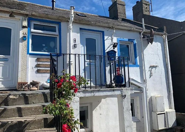 The Thin Seagull 4 Beacon Terrace Ferryden